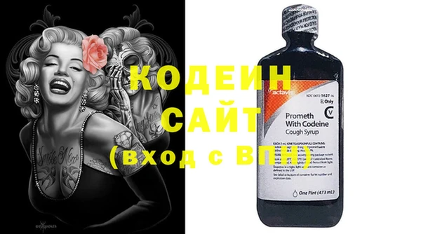 стаф Абаза